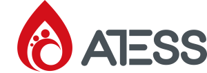 Atess Power Solutions